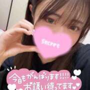 ヒメ日記 2025/02/21 16:34 投稿 フウカ ドMなバニーちゃん水戸店