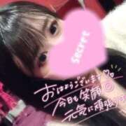 ヒメ日記 2025/11/20 11:46 投稿 フウカ ドMなバニーちゃん水戸店