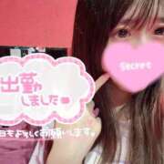ヒメ日記 2026/07/09 09:53 投稿 フウカ ドMなバニーちゃん水戸店