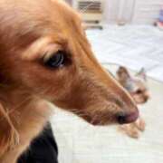 ヒメ日記 2024/12/11 12:22 投稿 あみ 萌えカワ