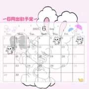 ヒメ日記 2025/05/31 19:45 投稿 ヒビキ ドMなバニーちゃん水戸店