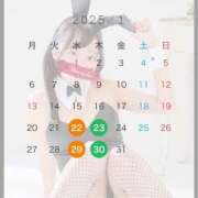 ヒメ日記 2025/01/10 12:10 投稿 ユニ ドMなバニーちゃん水戸店