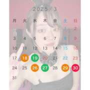 ヒメ日記 2025/03/14 15:02 投稿 ユニ ドMなバニーちゃん水戸店