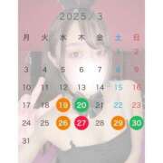 ヒメ日記 2025/03/16 15:02 投稿 ユニ ドMなバニーちゃん水戸店