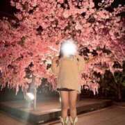 ヒメ日記 2026/04/03 15:05 投稿 ユニ ドMなバニーちゃん水戸店