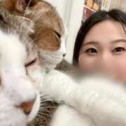 ヒメ日記 2025/04/03 20:42 投稿 サヤカ ドMなバニーちゃん水戸店