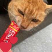 ヒメ日記 2025/05/29 17:53 投稿 サヤカ ドMなバニーちゃん水戸店