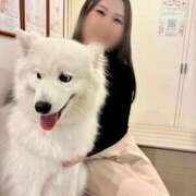 サヤカ 🈂️ービス ドMなバニーちゃん水戸店