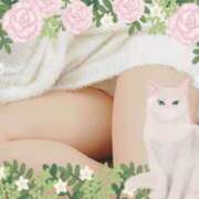 ヒメ日記 2025/01/06 18:15 投稿 なぎさ 奥鉄オクテツ大阪