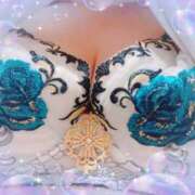 ヒメ日記 2025/06/30 15:35 投稿 なぎさ 奥鉄オクテツ大阪