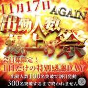 ヒメ日記 2025/11/15 18:45 投稿 なぎさ 奥鉄オクテツ大阪