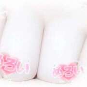 ヒメ日記 2025/11/22 12:00 投稿 なぎさ 奥鉄オクテツ大阪