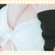 ヒメ日記 2025/11/23 09:00 投稿 なぎさ 奥鉄オクテツ大阪