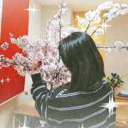 ヒメ日記 2025/04/07 21:46 投稿 田中桜子 五十路マダム富山店(カサブランカグループ)