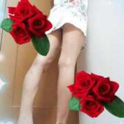 ヒメ日記 2025/04/19 20:38 投稿 田中桜子 五十路マダム富山店(カサブランカグループ)