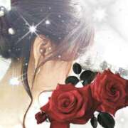 ヒメ日記 2025/06/15 20:40 投稿 田中桜子 五十路マダム富山店(カサブランカグループ)