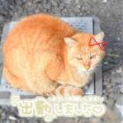 ヒメ日記 2025/01/19 09:11 投稿 セナ ドMなバニーちゃん水戸店