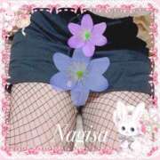 ヒメ日記 2025/03/07 18:35 投稿 なぎさ 奥鉄オクテツ奈良