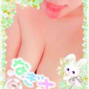 ヒメ日記 2025/04/05 19:35 投稿 なぎさ 奥鉄オクテツ奈良