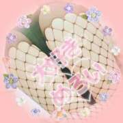 ヒメ日記 2025/10/30 11:40 投稿 なぎさ 奥鉄オクテツ奈良