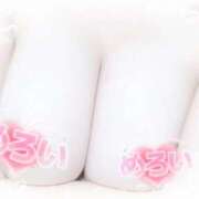 ヒメ日記 2025/11/01 20:10 投稿 なぎさ 奥鉄オクテツ奈良