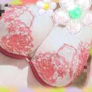 ヒメ日記 2026/02/20 18:55 投稿 なぎさ 奥鉄オクテツ奈良