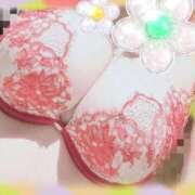 ヒメ日記 2026/03/01 15:50 投稿 なぎさ 奥鉄オクテツ奈良