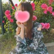 空条ひびき 11月だね 華椿