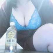 ヒメ日記 2024/12/20 11:35 投稿 観月　れな しこたま奥様 札幌店