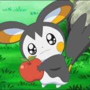 ヒメ日記 2025/03/01 19:21 投稿 ゆゆ マリン土浦本店