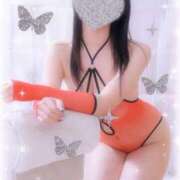 ヒメ日記 2024/12/29 15:26 投稿 みさき（回春） MOISTLIP