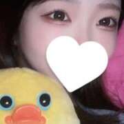 ヒメ日記 2025/11/08 15:16 投稿 しおん スパーク日本橋