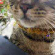 ヒメ日記 2025/04/07 08:05 投稿 ちか 姫マーケット