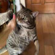 ヒメ日記 2025/05/07 19:15 投稿 ちか 姫マーケット