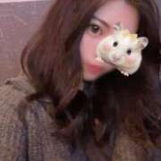 ヒメ日記 2025/04/22 11:50 投稿 いと 新小岩デリヘル ラブセレクション