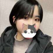 ヒメ日記 2025/01/12 01:30 投稿 つぼみ スピードエコ天王寺店