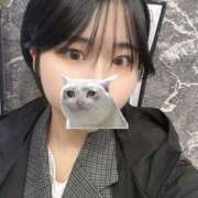 ヒメ日記 2025/04/04 14:40 投稿 つぼみ スピードエコ天王寺店