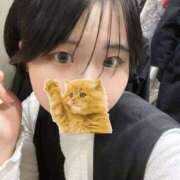 ヒメ日記 2025/04/05 19:40 投稿 つぼみ スピードエコ天王寺店