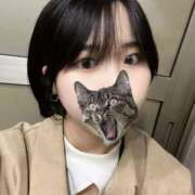 ヒメ日記 2025/11/10 11:00 投稿 つぼみ スピードエコ天王寺店