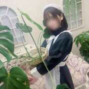 ヒメ日記 2025/09/08 04:03 投稿 ひより 沼津人妻花壇