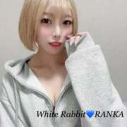 ヒメ日記 2024/10/09 19:29 投稿 RANKA White Rabbit 横浜