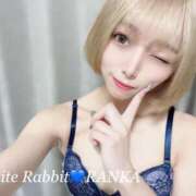 ヒメ日記 2024/10/26 05:47 投稿 RANKA White Rabbit 横浜