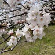 ヒメ日記 2025/03/30 18:42 投稿 高梨まりか セレブ嬉野