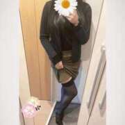 ヒメ日記 2026/04/04 15:16 投稿 高梨まりか セレブ嬉野