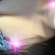 ヒメ日記 2026/04/11 15:56 投稿 高梨まりか セレブ嬉野