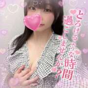 ヒメ日記 2026/02/19 10:31 投稿 はな 町田人妻城