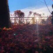 ヒメ日記 2024/12/13 08:13 投稿 平井 宇都宮回春性感クリニック