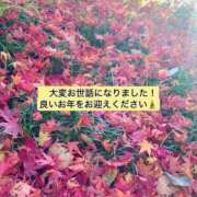 ヒメ日記 2024/12/28 09:33 投稿 平井 宇都宮回春性感クリニック