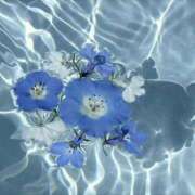 ヒメ日記 2025/01/15 21:13 投稿 さき CLASSY.東京・錦糸町店