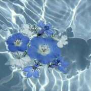 ヒメ日記 2025/01/18 07:32 投稿 さき CLASSY.東京・錦糸町店